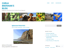 Tablet Screenshot of carlabrennan.com